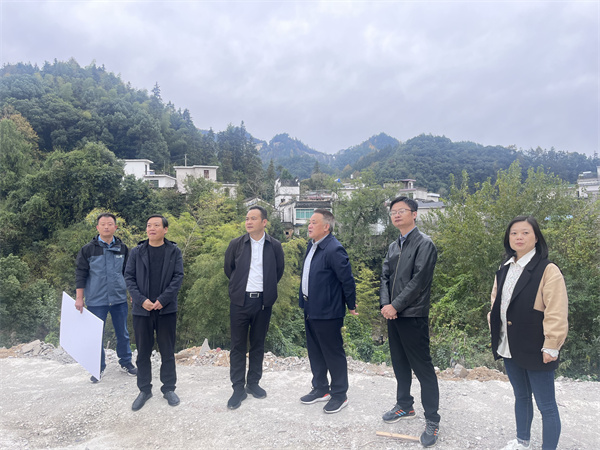 11月4日，县委副书记王坤调研杞梓里加油站、石潭景区建设推进情况，洪董、吴书记陪同调研1。.jpg